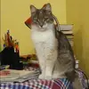 Отзыв от Нинель Черняева